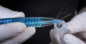 Hair Tissue Mineral Analysis – HTMA with Absolique Trichologist
