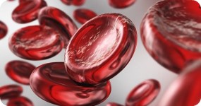 Food for Ferritin and The Art of Absorption